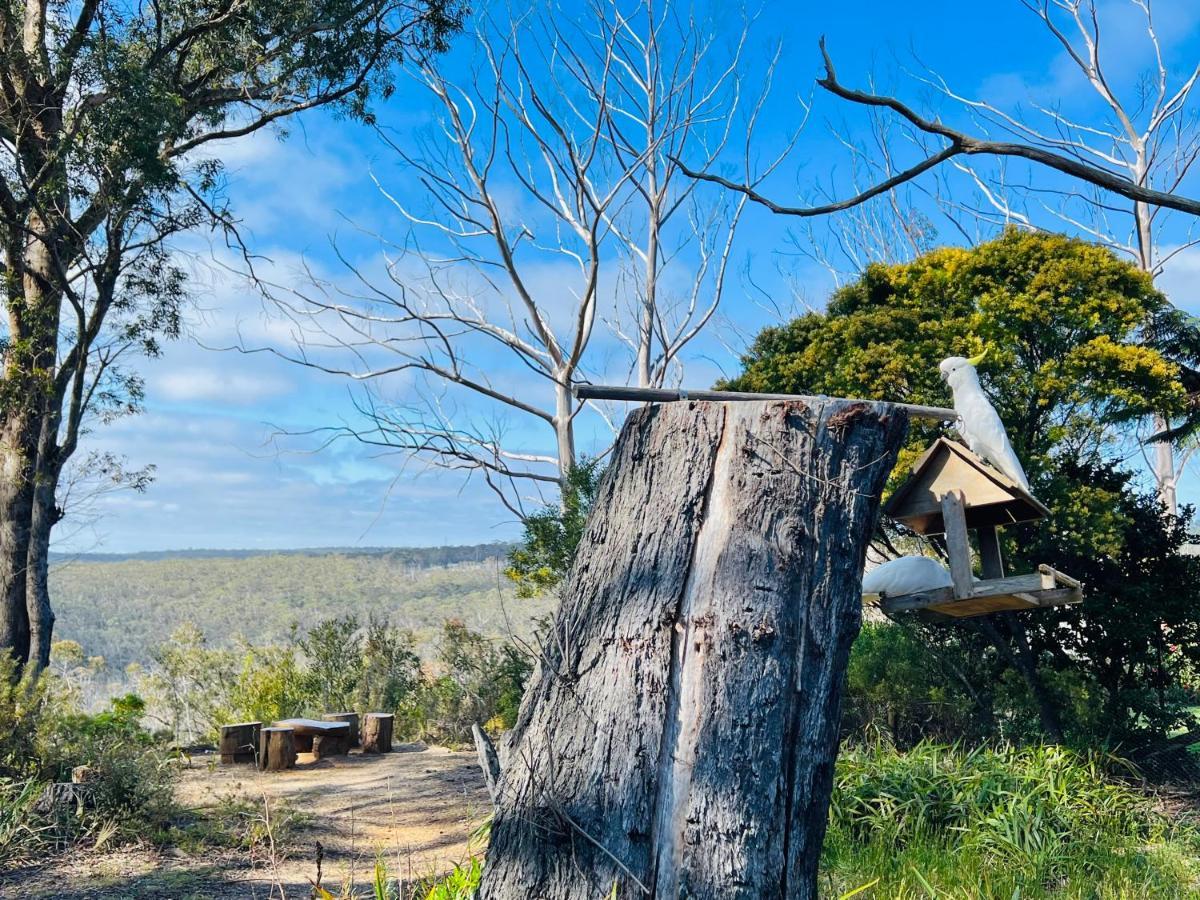 Canyon Cottage Majestic View Blackheath Eksteriør bilde
